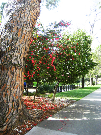 Grounds of the State Capitol